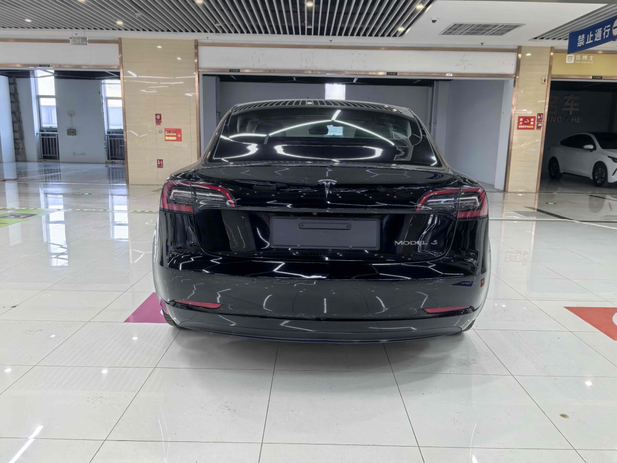 特斯拉 Model 3  2019款 標(biāo)準(zhǔn)續(xù)航后驅(qū)升級(jí)版圖片