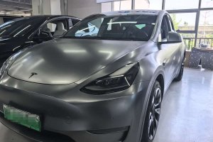 Model Y 特斯拉 標(biāo)準(zhǔn)續(xù)航后驅(qū)版