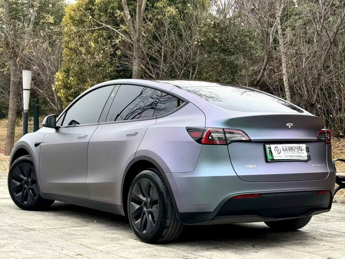 特斯拉 Model Y  2024款 Performance高性能版圖片