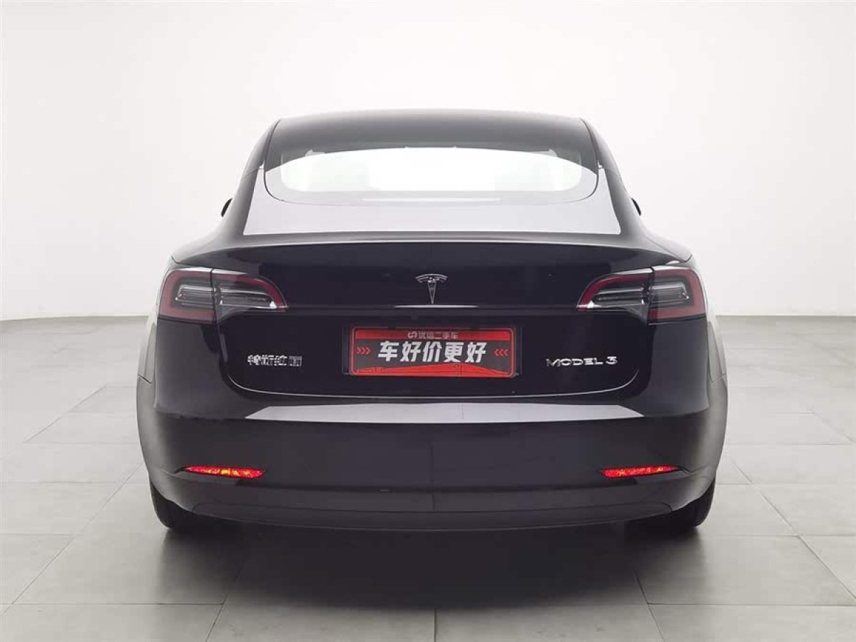 特斯拉 Model 3  2021款 標(biāo)準(zhǔn)續(xù)航后驅(qū)升級(jí)版 3D6圖片