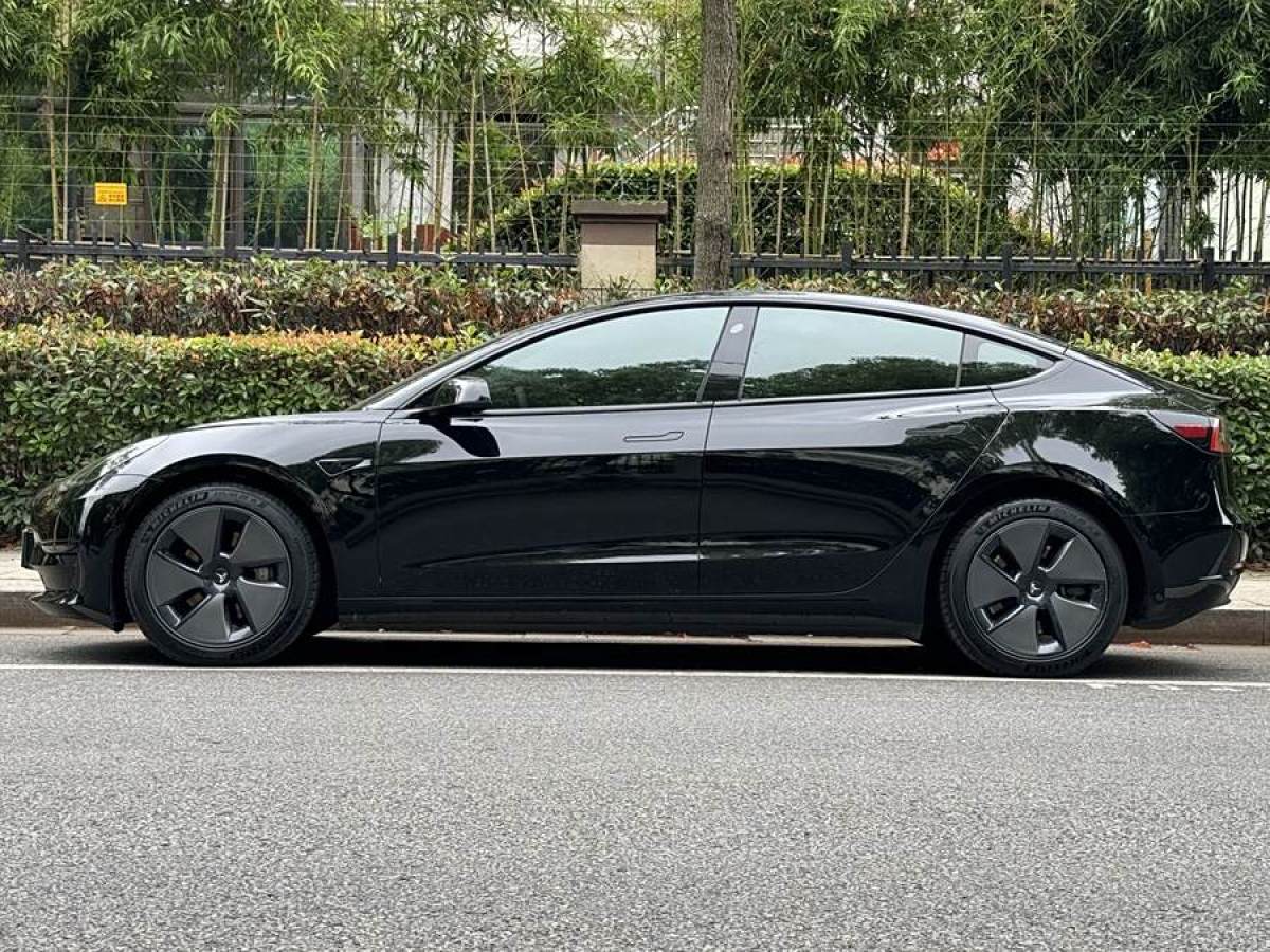 特斯拉 Model 3  2019款 長續(xù)航后驅版圖片