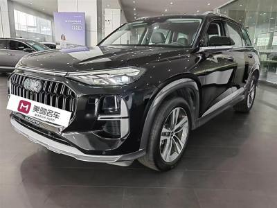 2023年10月 奥迪 奥迪Q6 45 TFSI quattro 齐云型 羽林套装图片