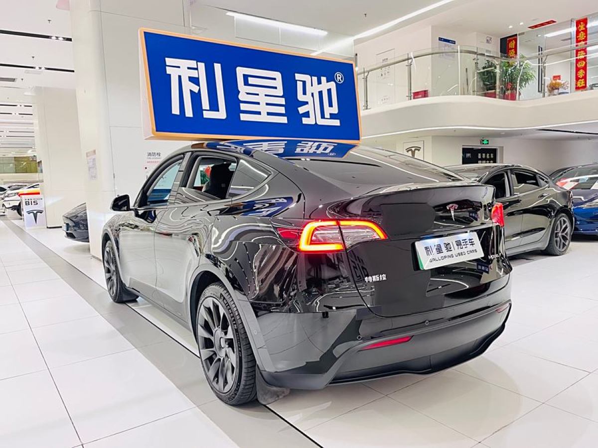 特斯拉 Model Y  2020款 改款 長續(xù)航后輪驅(qū)動版圖片