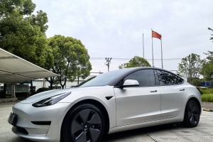 Model 3 特斯拉 改款 標準續(xù)航后驅升級版