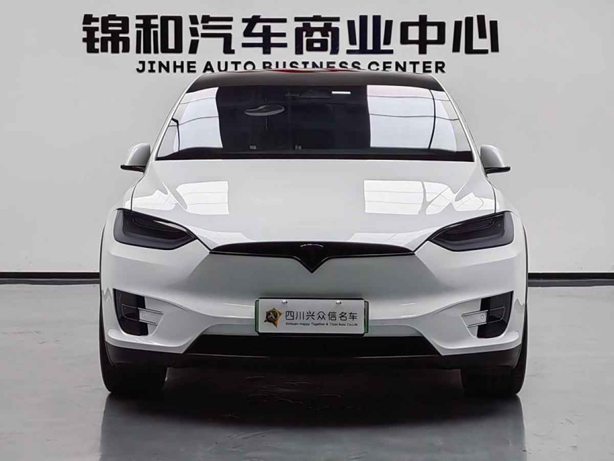 特斯拉 Model X  2019款 長續(xù)航版圖片