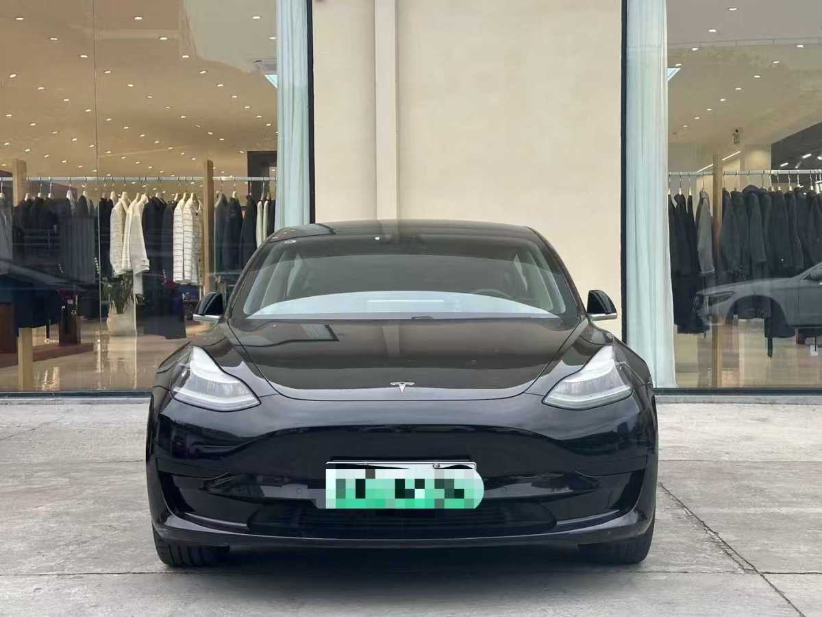 特斯拉 Model 3  2019款 標(biāo)準(zhǔn)續(xù)航后驅(qū)升級版圖片