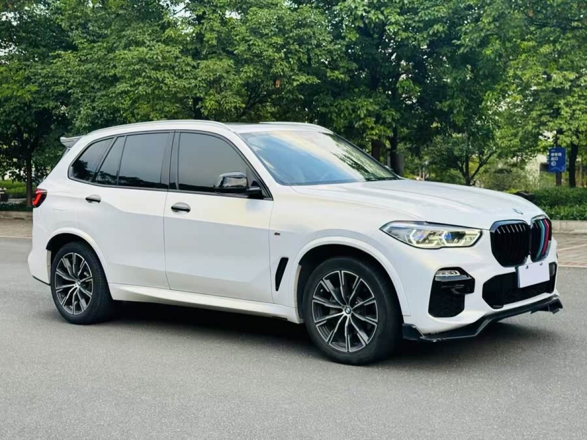 寶馬 寶馬X5  2020款 xDrive40i M運(yùn)動(dòng)套裝圖片
