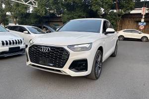 奧迪Q5L Sportback 奧迪 改款 40 TFSI 豪華型