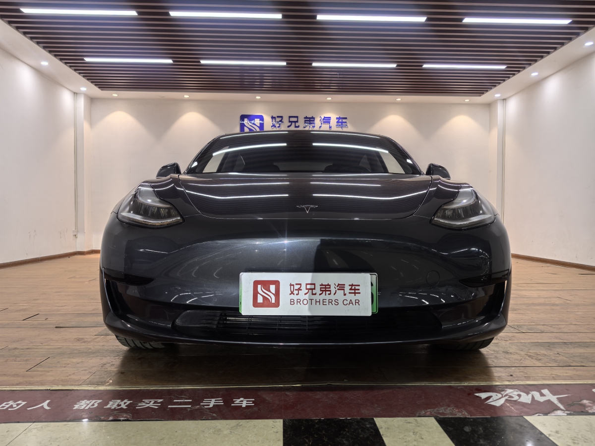 特斯拉 Model 3  2019款 標(biāo)準(zhǔn)續(xù)航后驅(qū)升級(jí)版圖片