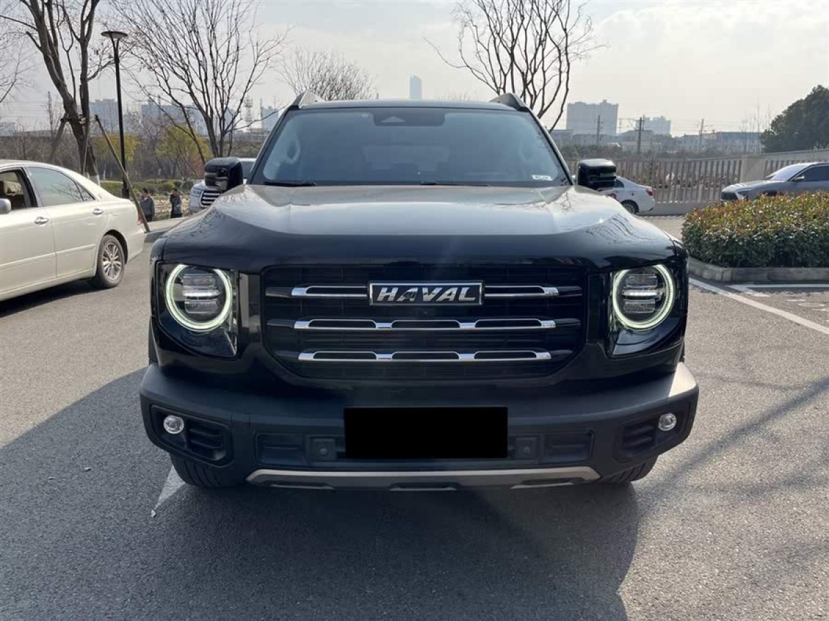 哈弗 哈弗大狗  2021款 1.5T DCT邊牧版圖片
