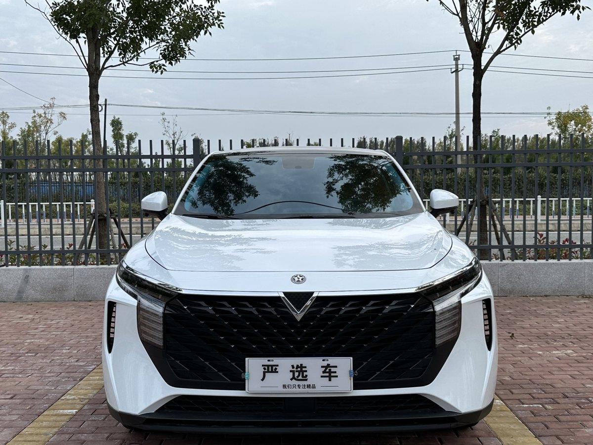 啟辰 啟辰大V  2022款 260T 定制版?愛(ài)豆圖片