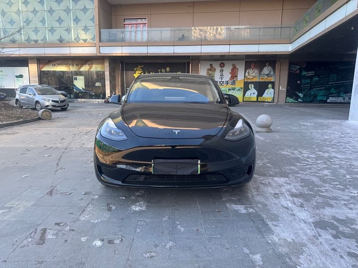 特斯拉 Model 3  2020款 改款 長續(xù)航后輪驅(qū)動版圖片