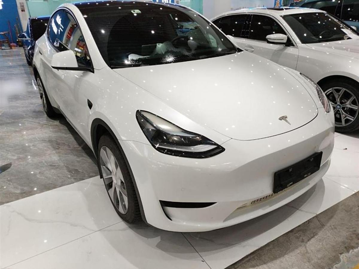 特斯拉 Model 3  2022款 后輪驅(qū)動版圖片