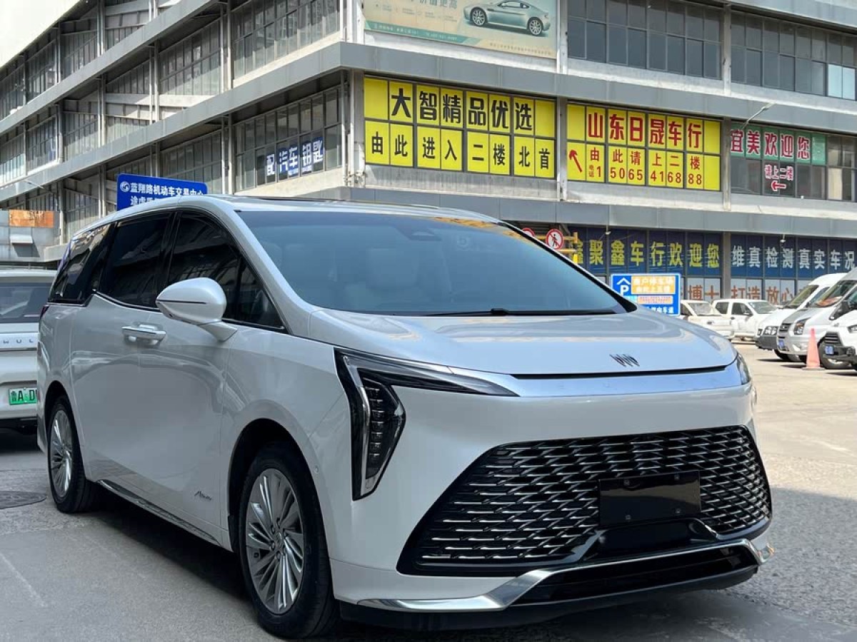 別克 世紀(jì)  2023款 2.0T 七座蘊(yùn)世版圖片