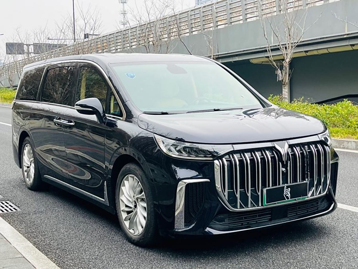 嵐圖 夢(mèng)想家  2024款 PHEV 超長(zhǎng)續(xù)航卓越版圖片