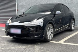 Model Y 特斯拉 標(biāo)準(zhǔn)續(xù)航后驅(qū)版