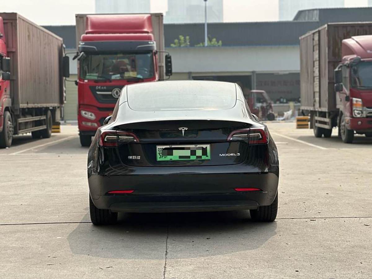 特斯拉 Model 3  2021款 改款 標準續(xù)航后驅升級版圖片