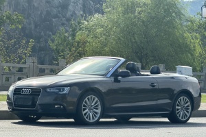 奥迪A5 奥迪 2.0TFSI Cabriolet