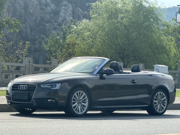 奥迪 奥迪A5  2012款 2.0TFSI Cabriolet