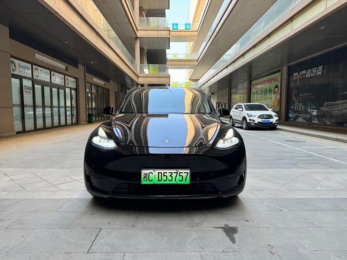 特斯拉 Model Y  2020款 改款 長續(xù)航后輪驅動版圖片