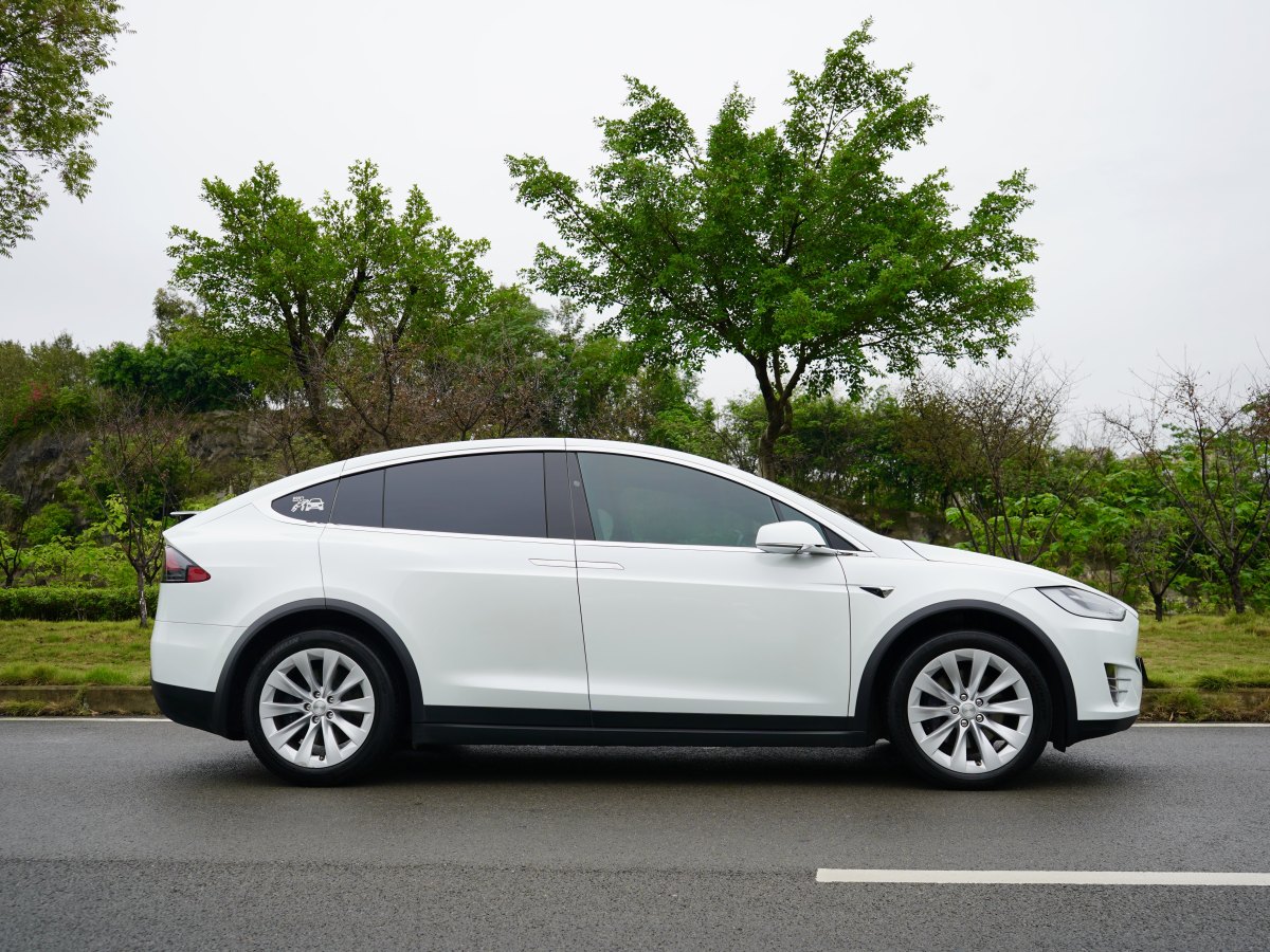 特斯拉 Model X  2019款 長(zhǎng)續(xù)航版圖片