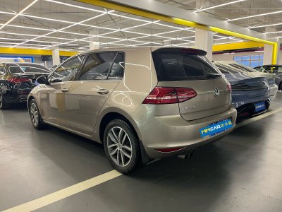 2016年5月 大眾 高爾夫 230TSI 自動(dòng)豪華型圖片