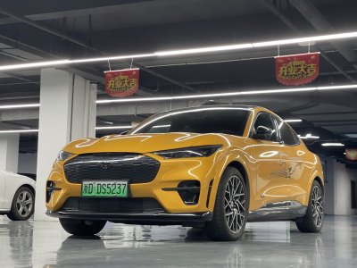 2024年2月 福特 Mustang Mach-E(进口) GT风暴版图片