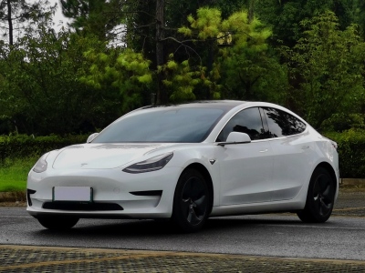 2020年9月 特斯拉 Model 3 标准续航后驱升级版图片