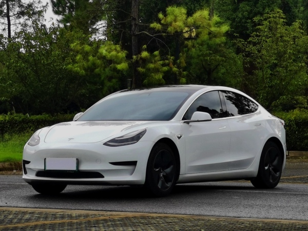 特斯拉 Model 3  2019款 标准续航后驱升级版