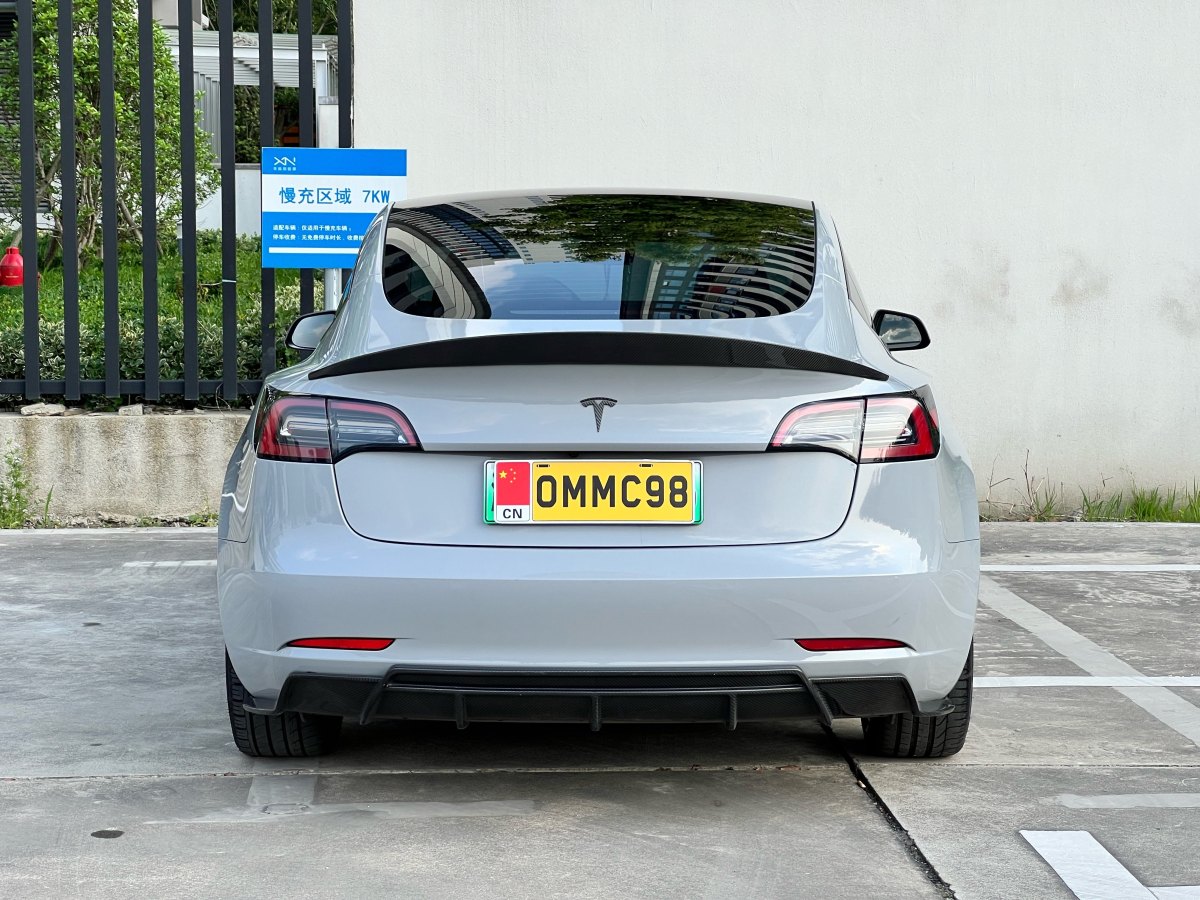 特斯拉 Model 3  2019款 Performance高性能全輪驅(qū)動版圖片