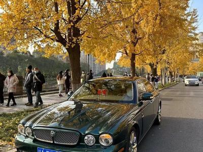 2008年4月 捷豹 XJ XJ6L 3.0皇家加長版圖片