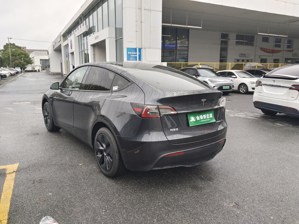 特斯拉 Model Y  2020款 改款 長續(xù)航后輪驅(qū)動版圖片