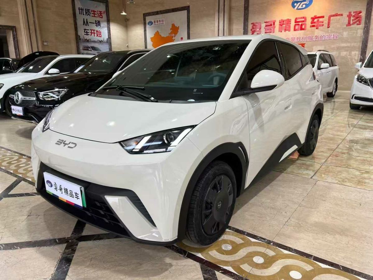 比亞迪 宋L DM-i  2024款 112km 超越型圖片