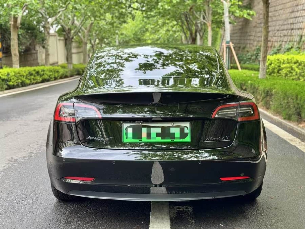 特斯拉 Model 3  2021款 標(biāo)準(zhǔn)續(xù)航后驅(qū)升級版 3D6圖片