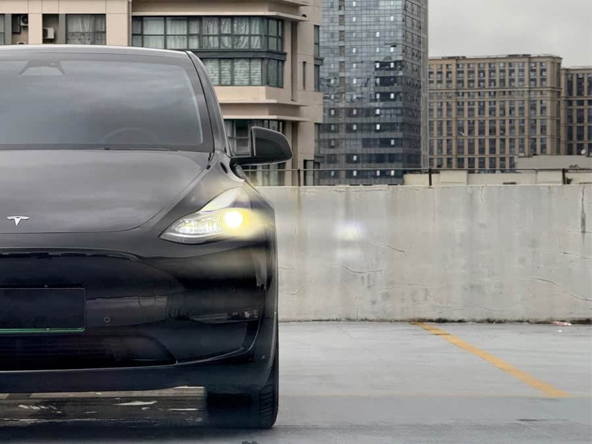 特斯拉 Model Y  2024款 長續(xù)航全輪驅(qū)動(dòng)版圖片