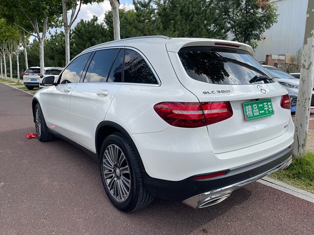 2017年4月奔馳 奔馳GLC  2017款 GLC 200 4MATIC