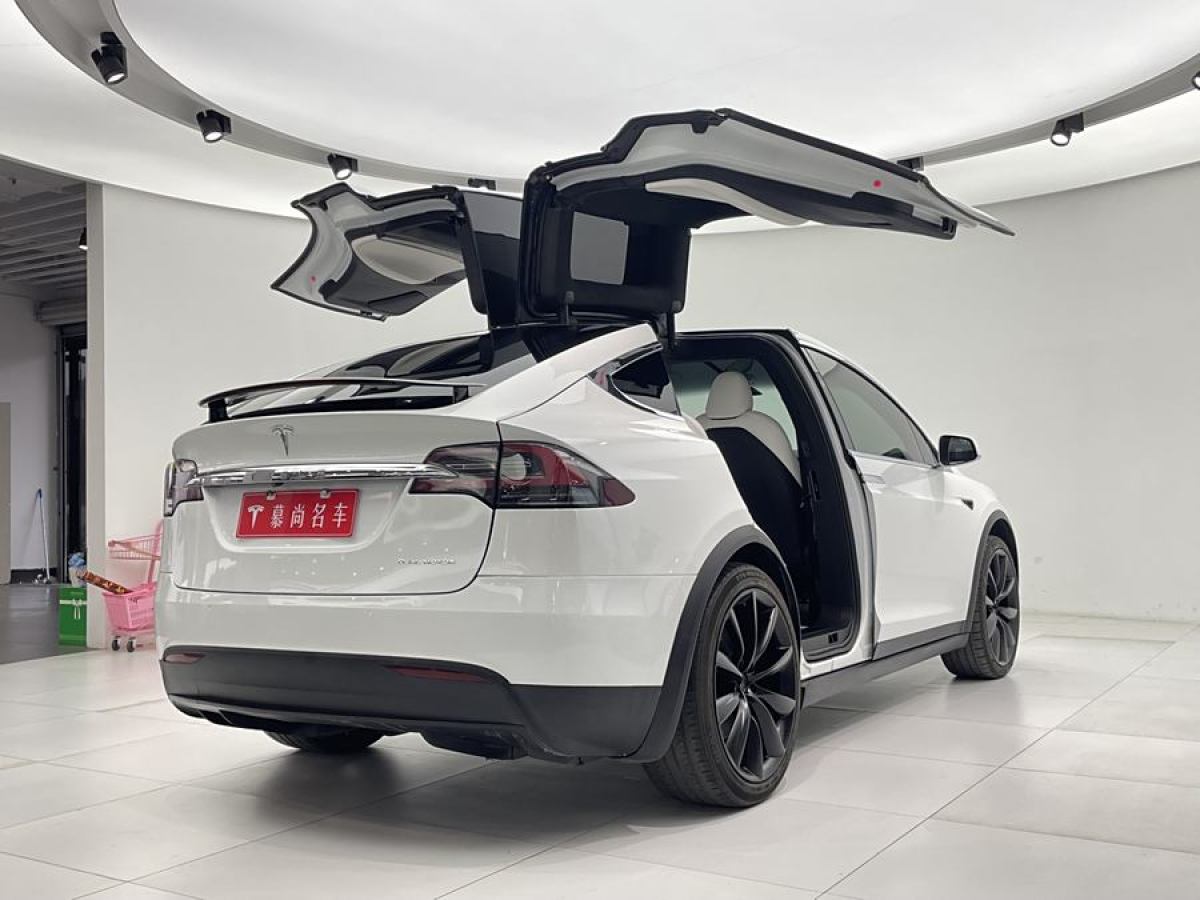 特斯拉 Model X  2019款 長續(xù)航版圖片