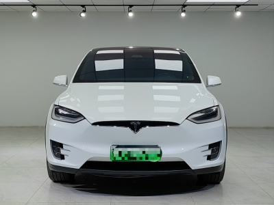 2018年3月 特斯拉 Model X Model X 100D 長(zhǎng)續(xù)航版圖片