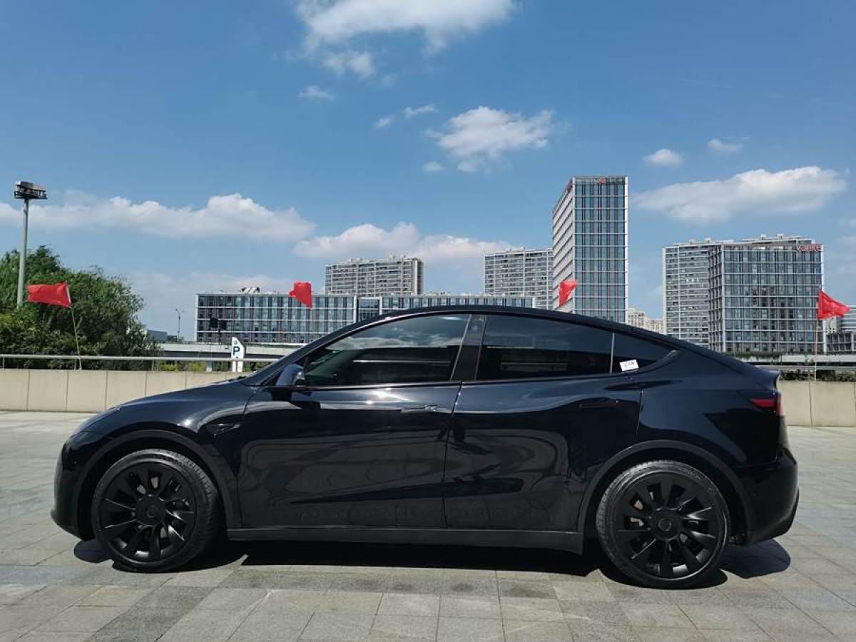 特斯拉 Model Y  2022款 后輪驅(qū)動版圖片