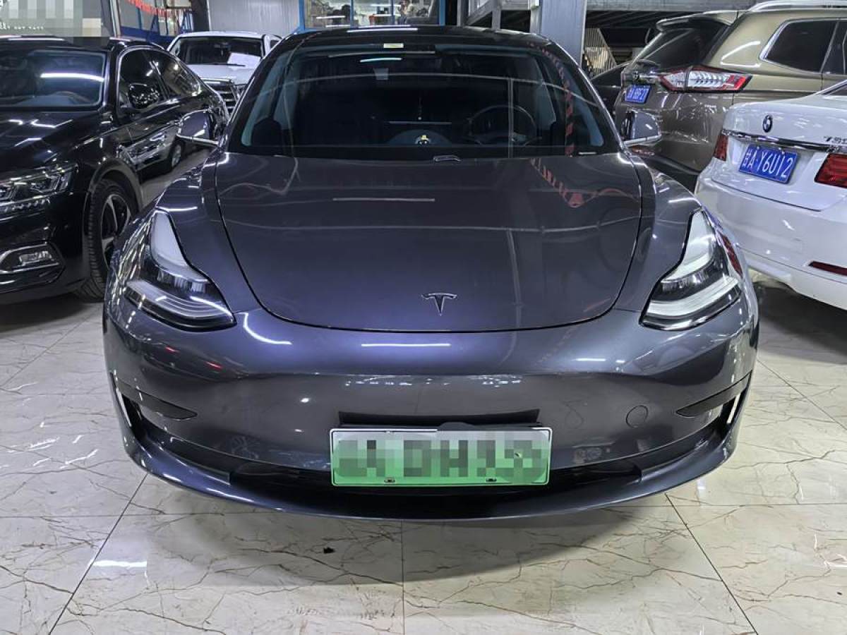 特斯拉 Model 3  2019款 標(biāo)準(zhǔn)續(xù)航后驅(qū)升級版圖片