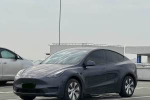 Model 3 特斯拉 改款 長(zhǎng)續(xù)航后輪驅(qū)動(dòng)版