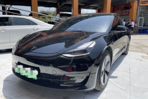 Model 3 特斯拉 標準續(xù)航后驅(qū)升級版 3D6