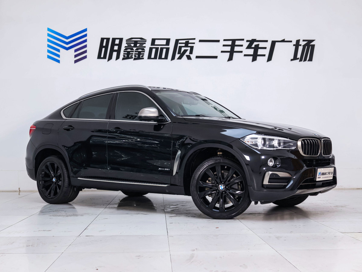 寶馬 寶馬X6  2018款 xDrive35i 領(lǐng)先型圖片