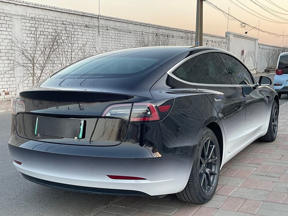 特斯拉 Model 3  2019款 標(biāo)準(zhǔn)續(xù)航后驅(qū)升級(jí)版圖片