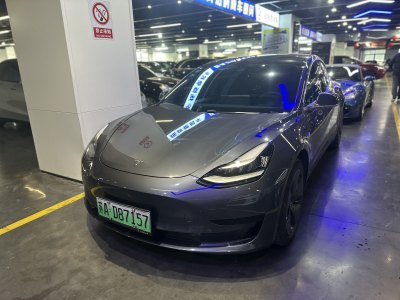 2020年6月 特斯拉 Model 3 標(biāo)準(zhǔn)續(xù)航后驅(qū)升級(jí)版圖片