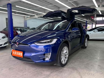 2019年7月 特斯拉 Model X 長(zhǎng)續(xù)航版圖片