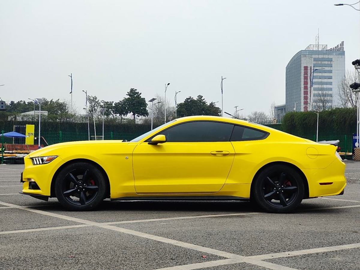 福特 Mustang  2015款 2.3T 性能版圖片