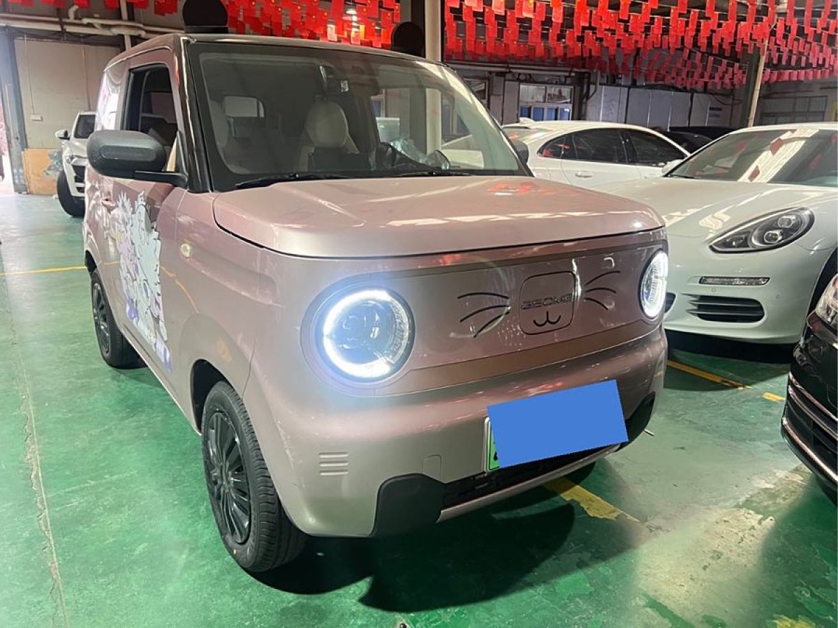 2024年5月吉利 熊貓mini  2023款 200km 靈動(dòng)熊