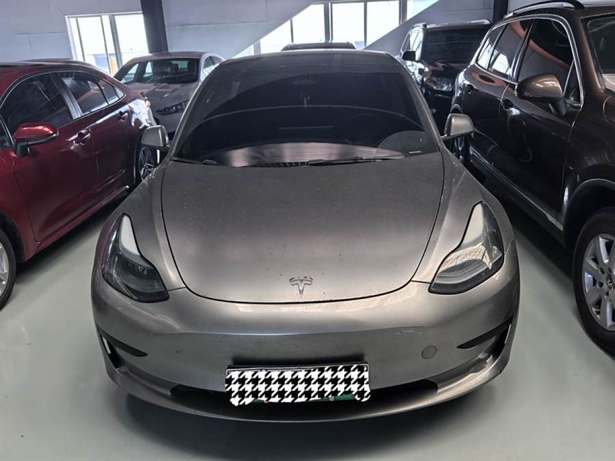 特斯拉 Model 3  2021款 標(biāo)準(zhǔn)續(xù)航后驅(qū)升級(jí)版 3D6圖片