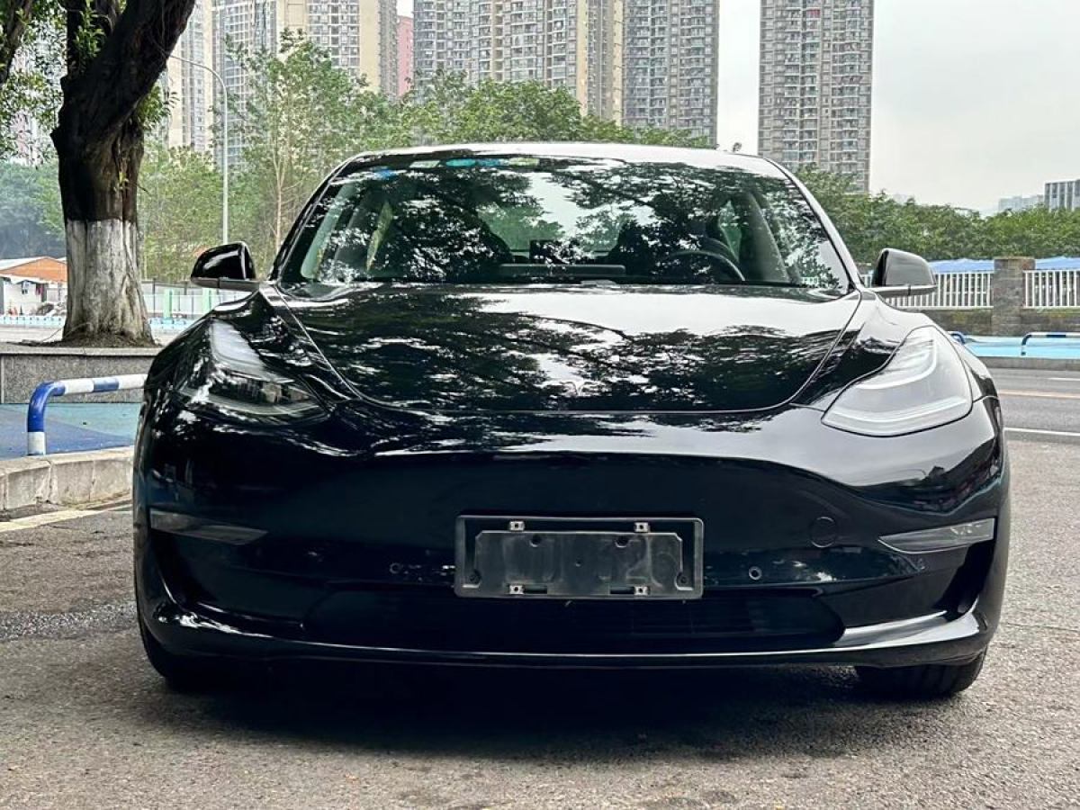 特斯拉 Model 3  2019款 長續(xù)航后驅(qū)版圖片